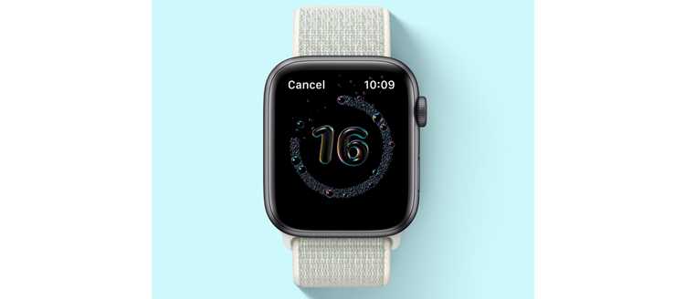 Apple Watch SE